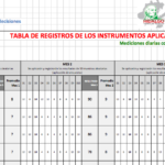 SISTEMA DE MONITOREO Y EVALUACIÓN